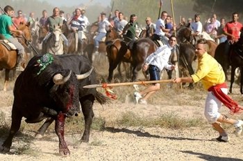 El PP y el PSOE son los 'responsables' del Toro de la Vega