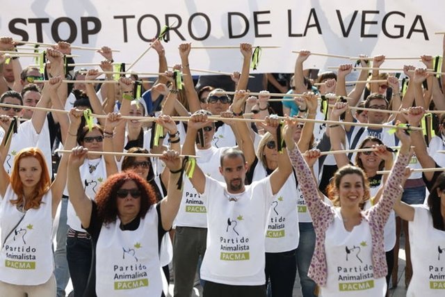 El PP y el PSOE son los 'responsables' del Toro de la Vega