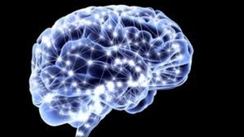 El cerebro elimina los residuos mientras dormimos