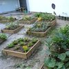 Aprovechar los suelos periurbanos para algo más que construir