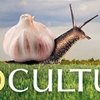 Ecocultura en Zamora