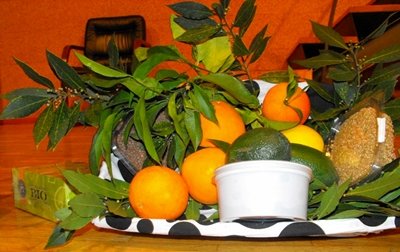 Arranca la campaña ‘Consume Ecológico, Consume Andaluz’