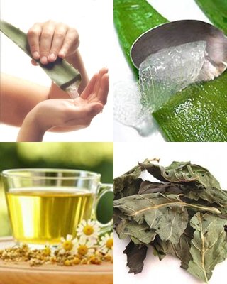 Belleza natural: Remedios caseros para las pieles irritadas
