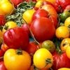 Más de 800 expositores de productos ecológicos se dan cita en Biocultura