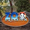 El Zoo Aquarium de Madrid presenta a su pequeña maravilla, la cría de oso panda gigante