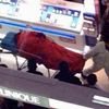 Se suicida tras un duro día de compras con su novia