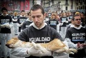 Igualdad Animal nos muestra una desagradable realidad