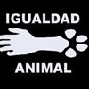 Igualdad Animal nos muestra una desagradable realidad