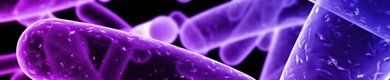 Curiosidades de la naturaleza: resistencias, bacterias y enfermedades
