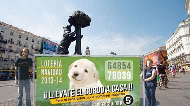 No compréis mascotas, adoptadlas