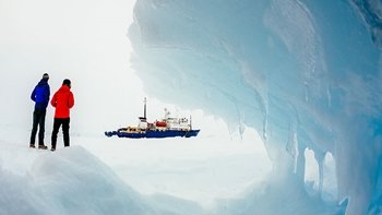 Salvados del hielo
