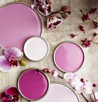 Orquídea radiante , el color del 2014