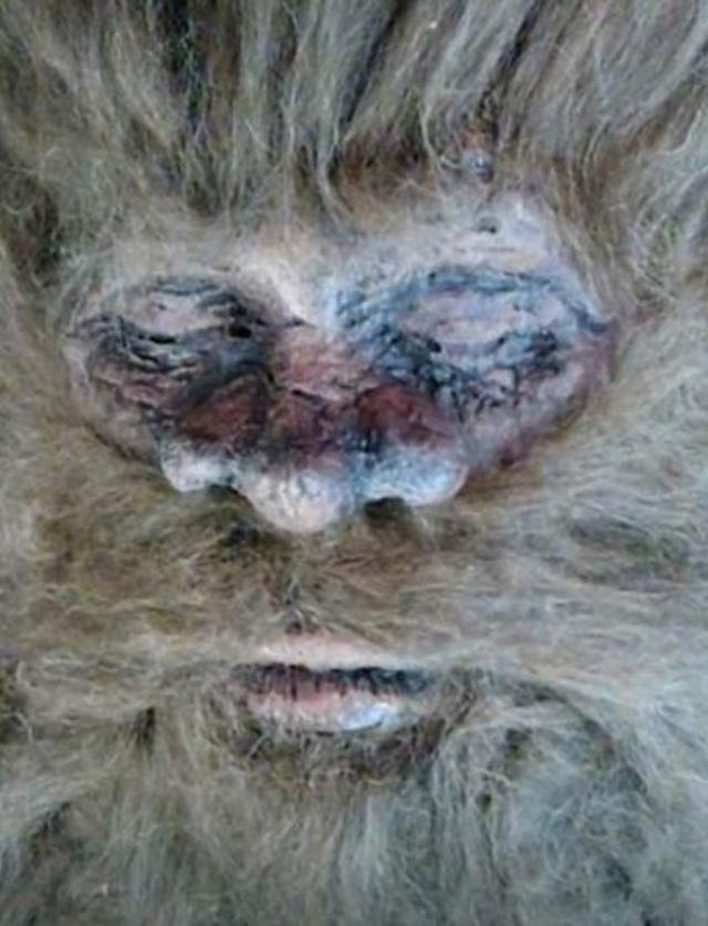 Bigfoot podría haber muerto