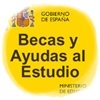 ¿Dónde está mi beca señor Ministro?