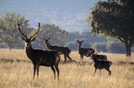 El gobierno aprueba el anteproyecto de ley de Parques Nacionales