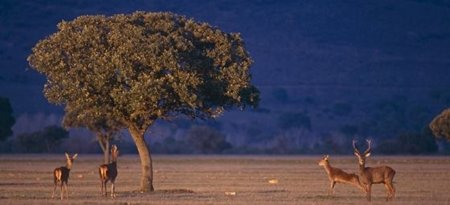 La nueva ley de Parques Nacionales es inconstitucional