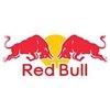 Los Red Bull muestran su nuevo bólido