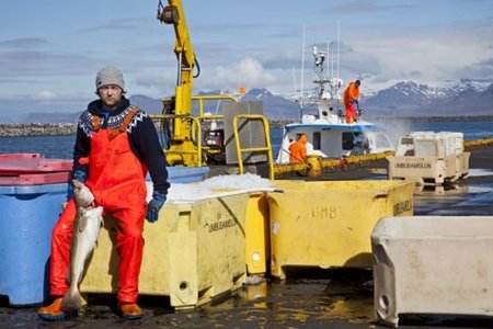 Dejar caer a los bancos fue bueno para Islandia