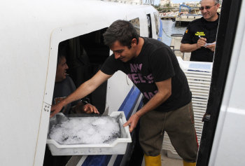 Rape y cabracho menorquín contaminado con mercurio