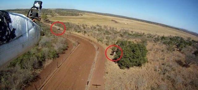 El CSIC prueba los drones para estudiar el rinoceronte africano