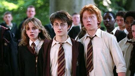 Harry Potter tendría que haberse casado con Hermione 
