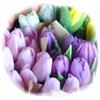 Los colores de la nueva temporada