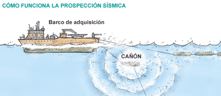 Las prospecciones inquietan a SEO/Birdlife