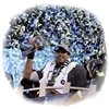 Seahawks ganan una Superbowl 'sin rival'