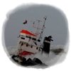 Derramamiento de petroleo al mar en Anglet