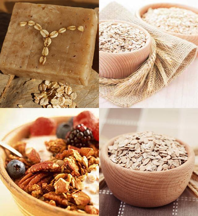 Avena: el cereal que amarás