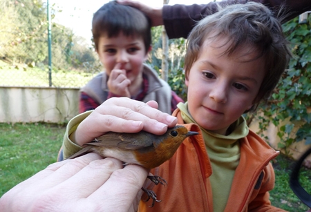 Ven a conocer a SEO/Birdlife