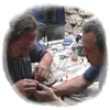 Ven a conocer a SEO/Birdlife