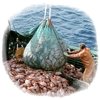 La pesca de arrastre debe 'progresivamente' prohibirse 