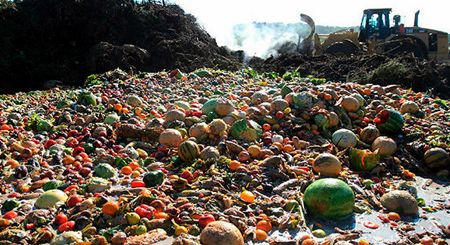 Cada persona desperdicia unos 300 kilos de comida al año
