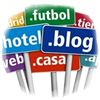 Los dominios web, cada vez más especializados