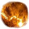 El cambio climático puede incrementar los periodos críticos contra el fuego en España