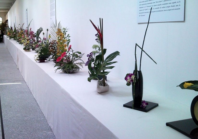 Exposición japonesa en el Jardín Botánico