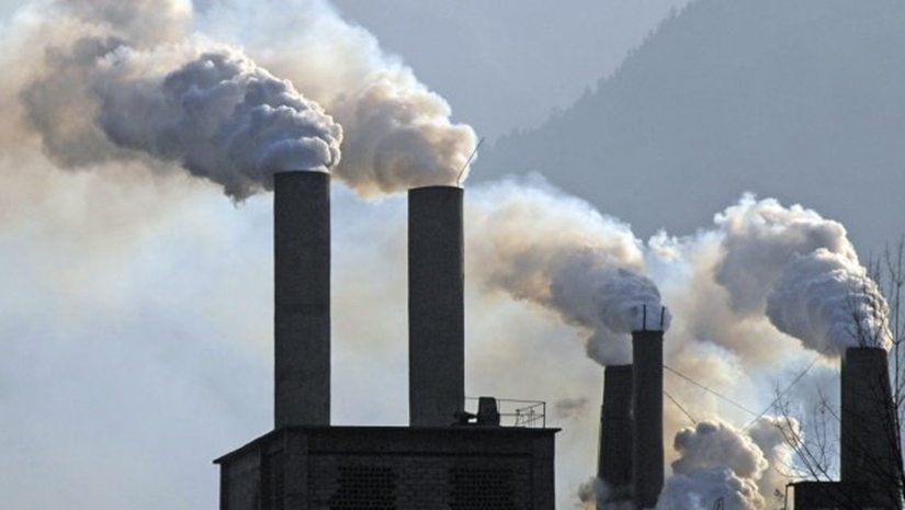 Una bacteria podría 'solucionar' el cambio climático