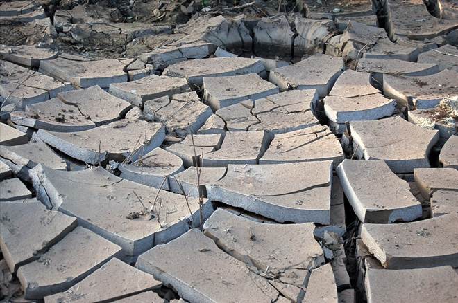 Alerta sobre el cambio climático