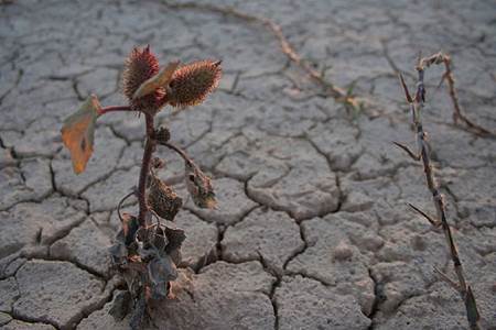 Las pruebas del cambio climático son ya 'abrumadoras'