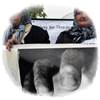 Las Madres de Srebrenica denuncian a Holanda