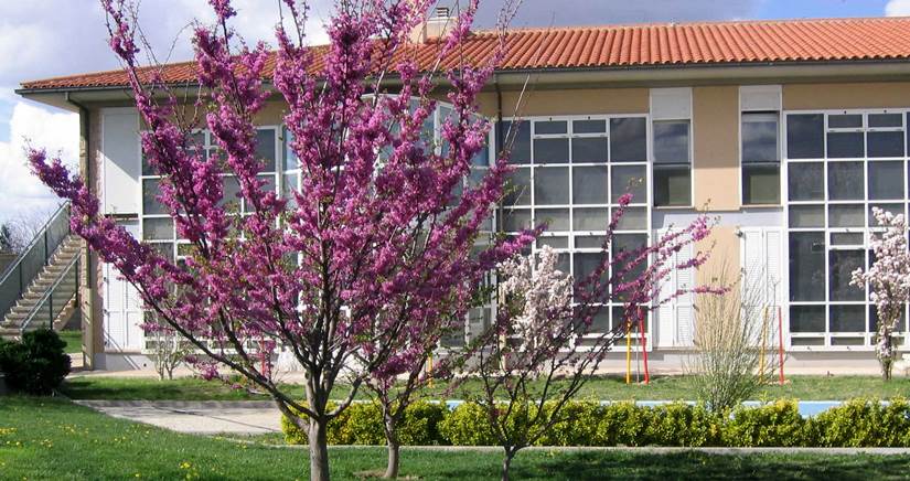 Proyecto Hombre abre un nuevo espacio en Tarragona