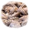 Curiosidades de la naturaleza: el secreto del pulpo