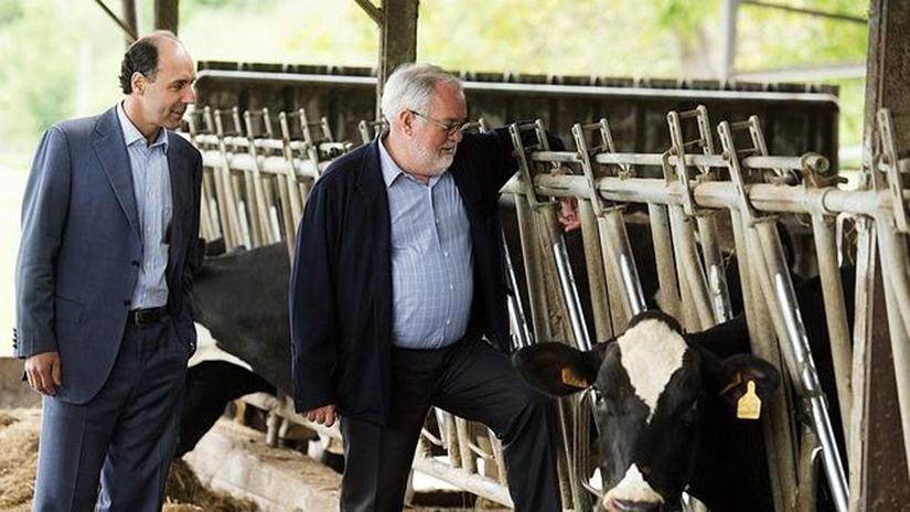 Los ataques 'sin sentido' de Cañete