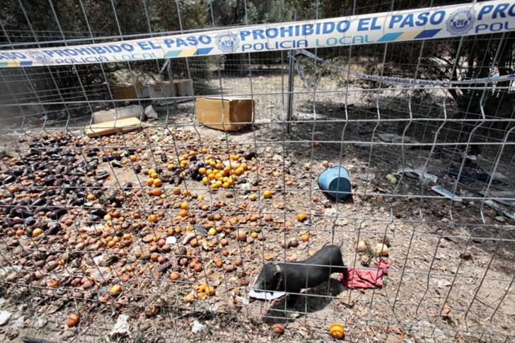 Son mascotas, no se les puede matar asi