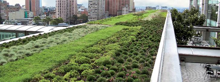 Las cubiertas verdes son enormemente beneficiosas