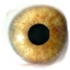España, pionera a nivel mundial en lentes intraoculares