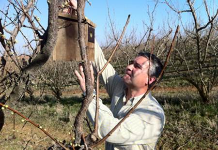 Badajoz promocionará su fauna ortnitológica en MADBirdFair