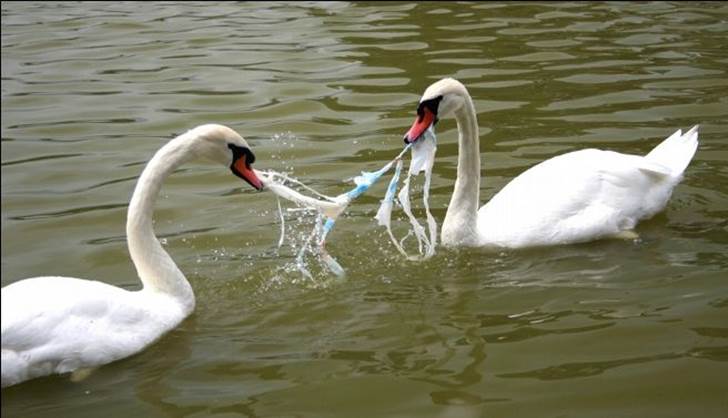 El plástico tan peligroso como el cambio climático