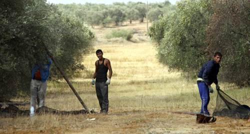 Andalucía y el PER